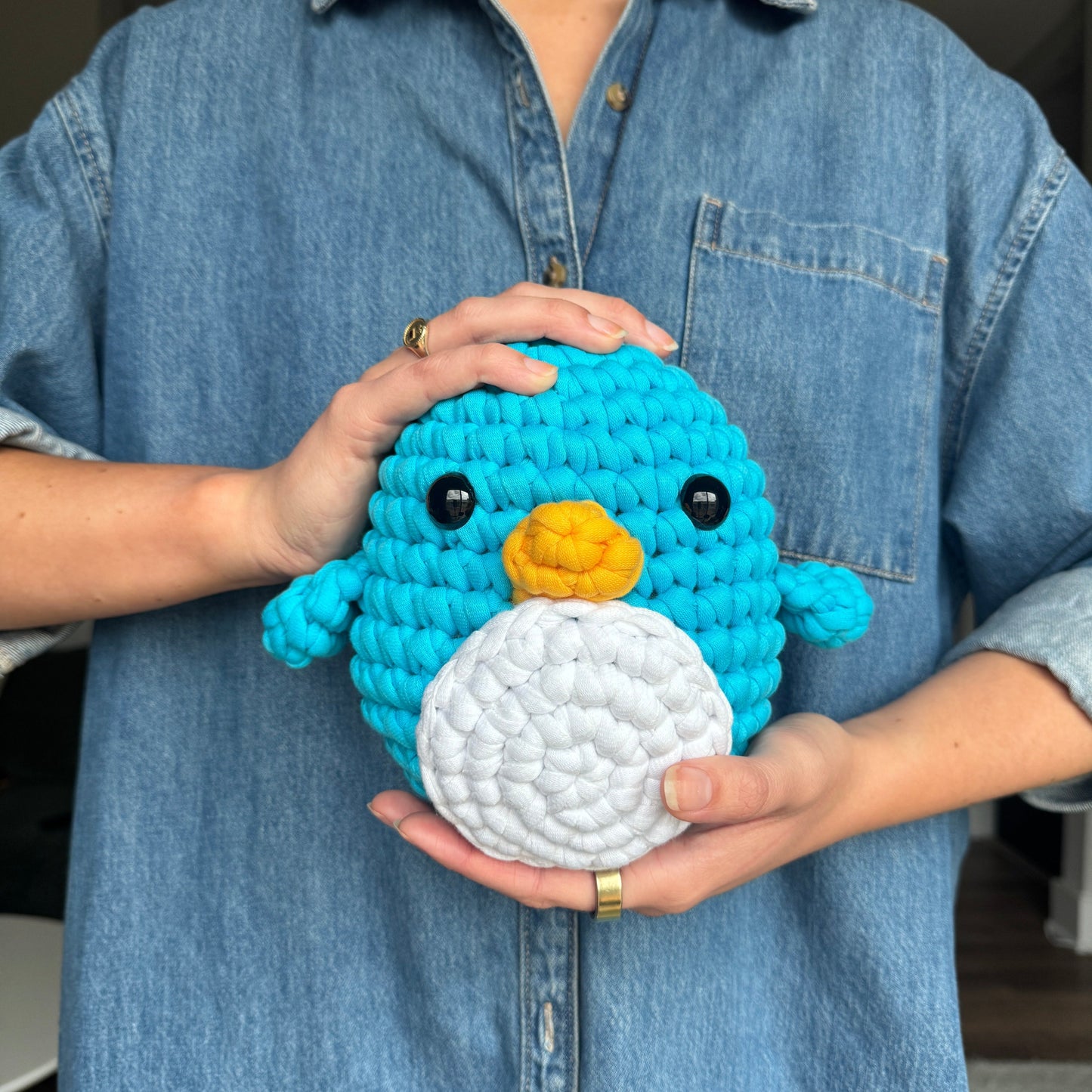 Pierre the Penguin Extra Squeezy Crochet Kit
