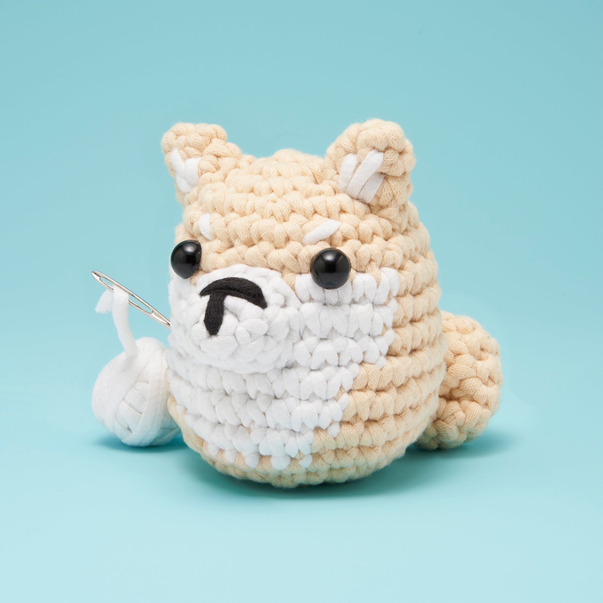 Get This Paw-ty Started Bundle